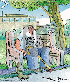 Cornered on Saturday March 8, 2025 Comic Strip