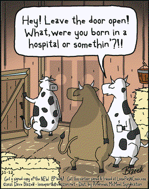 Loose Parts on Wednesday November 12, 2025 Comic Strip