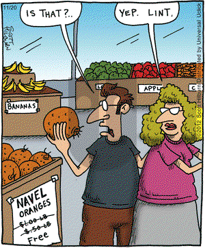 The Argyle Sweater on Tuesday November 20, 2012 Comic Strip