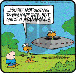Ziggy on Thursday June 5, 2014 Comic Strip