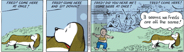Fred Basset on Saturday November 6, 2010 Comic Strip