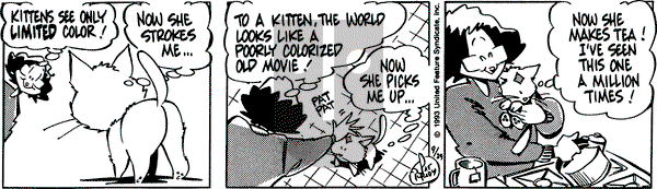 Rose is Rose on Wednesday September 29, 1993 Comic Strip