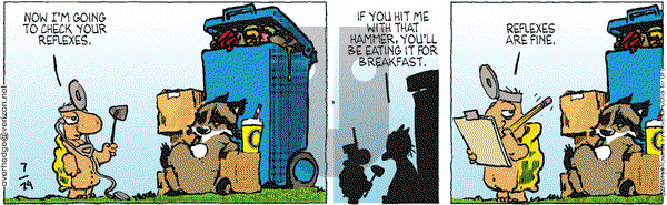 Over the Hedge on Friday July 24, 2015 Comic Strip