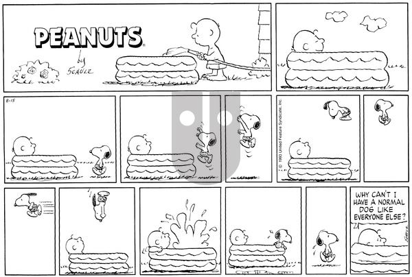 Peanuts on Sunday August 15, 1993 Comic Strip