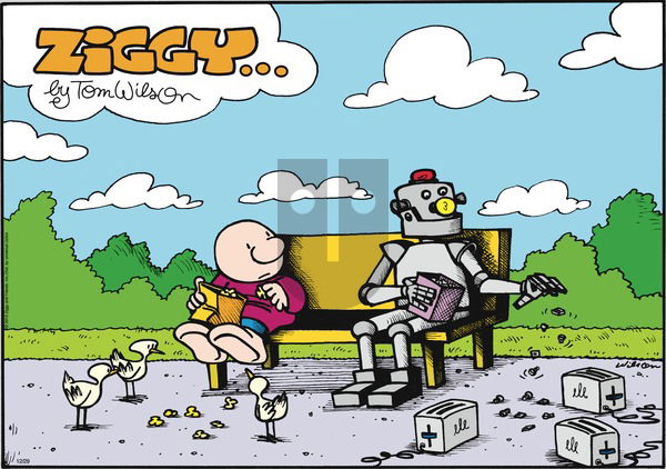 Ziggy on Sunday December 29, 2013 Comic Strip