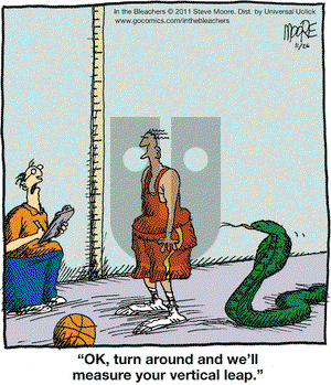 In the Bleachers on Saturday November 26, 2011 Comic Strip