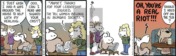DeFlocked on Wednesday June 27, 2012 Comic Strip