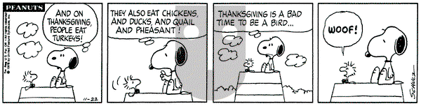 Peanuts on Monday November 22, 1976 Comic Strip