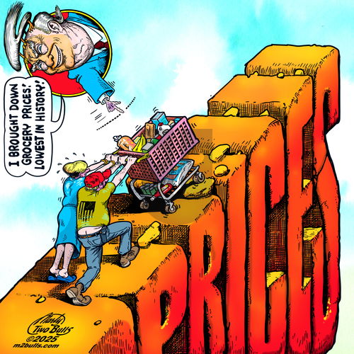 M2Bulls on Wednesday November 12, 2025 Comic Strip