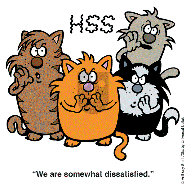 Learn to Speak Cat - Tuesday July 2, 2024 Comic Strip