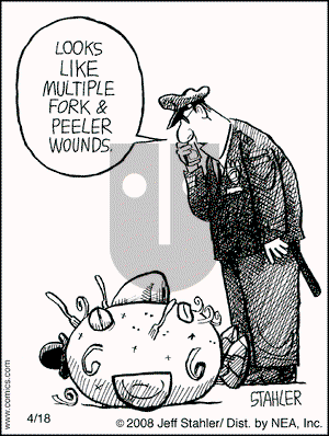 Moderately Confused - Friday April 18, 2008 Comic Strip