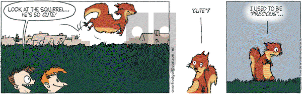 Over the Hedge on Friday June 19, 2009 Comic Strip