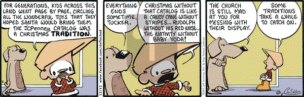 DeFlocked on Wednesday December 12, 2012 Comic Strip