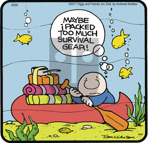 Ziggy on Friday August 25, 2017 Comic Strip