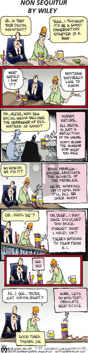 Non Sequitur on Sunday July 22, 2018 Comic Strip