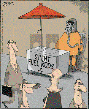 The Flying McCoys on Wednesday November 17, 2010 Comic Strip