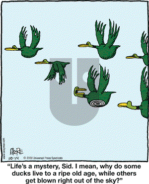 In the Bleachers on Saturday October 14, 2000 Comic Strip