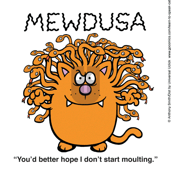 Learn to Speak Cat on Tuesday June 10, 2025 Comic Strip