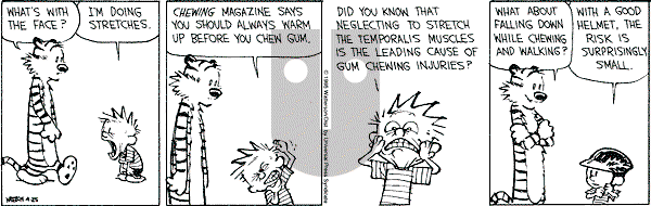 Calvin and Hobbes - Tuesday April 25, 1995 Comic Strip