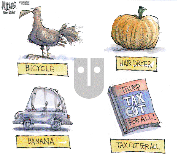 Matt Davies on Monday October 2, 2017 Comic Strip