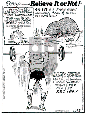 Ripley's Believe It or Not on Saturday November 29, 1997 Comic Strip