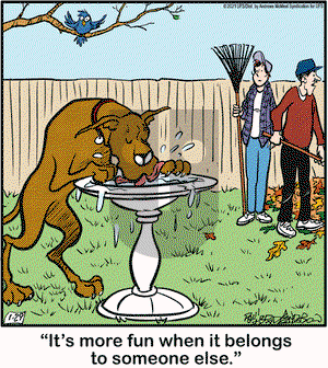 Marmaduke on Friday January 29, 2021 Comic Strip