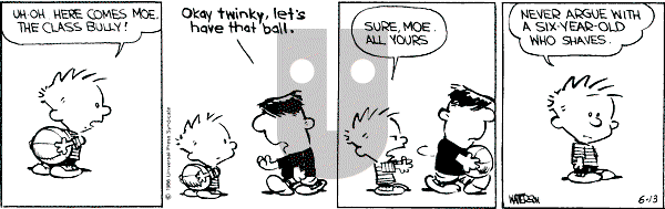 Calvin and Hobbes - Thursday June 13, 1991 Comic Strip