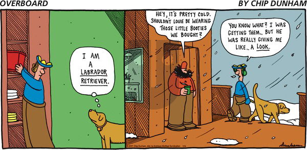 Overboard on Sunday January 15, 2017 Comic Strip