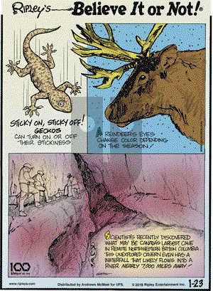 Ripley's Believe It or Not on Wednesday January 23, 2019 Comic Strip