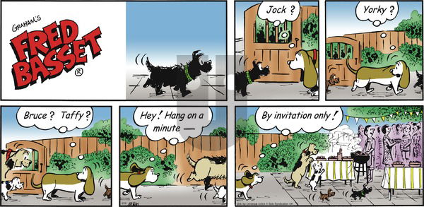 Fred Basset on Sunday September 18, 2016 Comic Strip