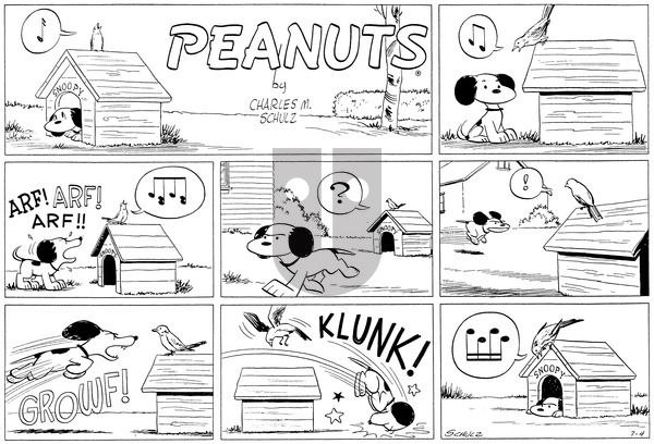 Peanuts on Sunday July 4, 1954 Comic Strip