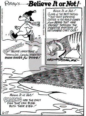 Ripley's Believe It or Not on Monday May 1, 2000 Comic Strip