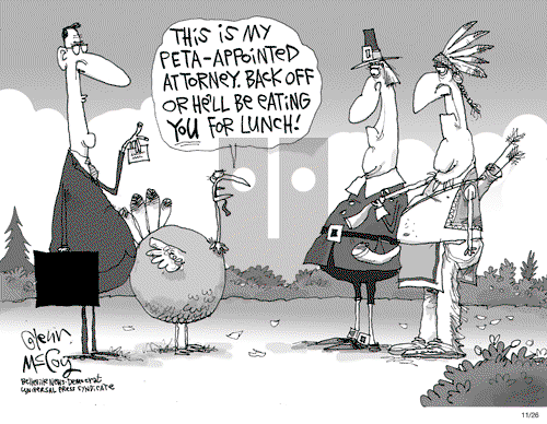 Glenn McCoy on Wednesday November 26, 2008 Comic Strip