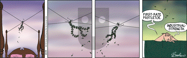 9 Chickweed Lane on Saturday December 24, 2016 Comic Strip