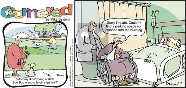 Cornered on Sunday May 10, 2009 Comic Strip