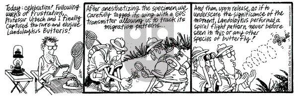 Monty on Saturday June 18, 2005 Comic Strip