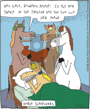 The Argyle Sweater - Saturday June 14, 2008 Comic Strip