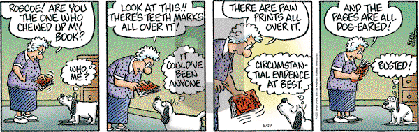 Pickles on Thursday June 19, 2025 Comic Strip