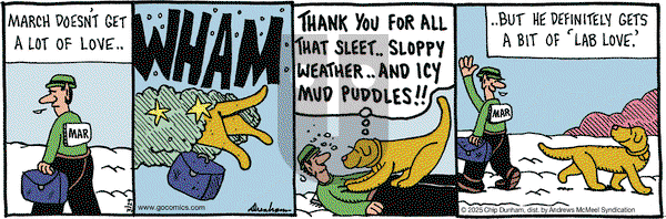Overboard on Saturday March 29, 2025 Comic Strip