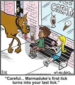 Marmaduke on Wednesday May 26, 2021 Comic Strip