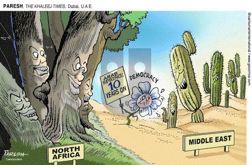 ViewsAfrica on Friday December 18, 2020 Comic Strip