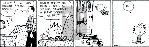 Calvin and Hobbes - Saturday May 15, 1993 Comic Strip