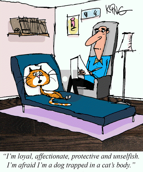 Jerry King Comics on Wednesday April 9, 2025 Comic Strip