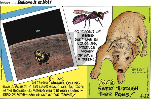 Ripley's Believe It or Not on Sunday April 22, 2018 Comic Strip
