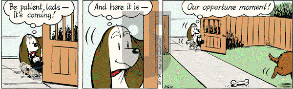 Fred Basset on Thursday August 9, 2012 Comic Strip