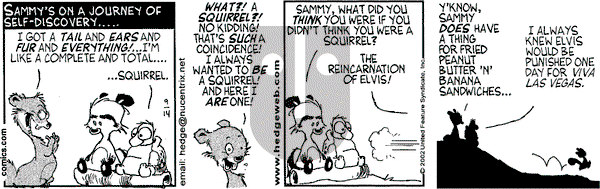 Over the Hedge on Saturday September 14, 2002 Comic Strip