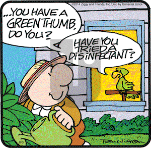 Ziggy on Friday June 6, 2014 Comic Strip