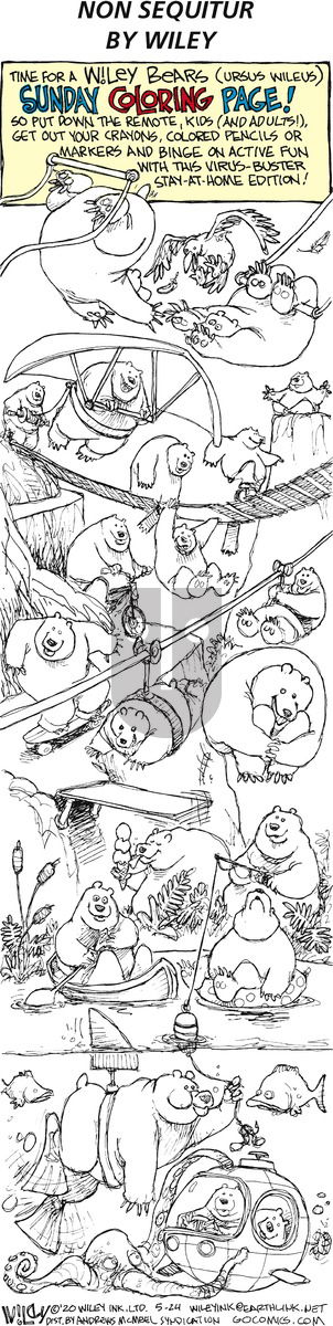 Non Sequitur on Sunday May 24, 2020 Comic Strip