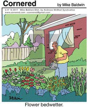 Cornered on Wednesday May 17, 2017 Comic Strip
