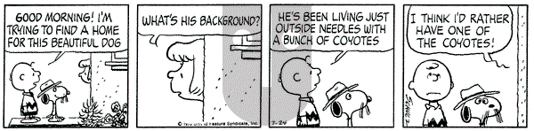 Peanuts on Monday July 24, 1978 Comic Strip